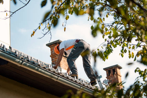 Sealant for Roof in Wolverine Lake, MI