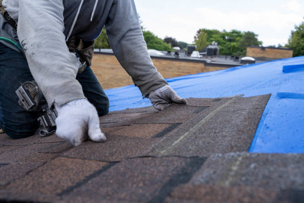 Best New Roof Installation  in Wolverine Lake, MI