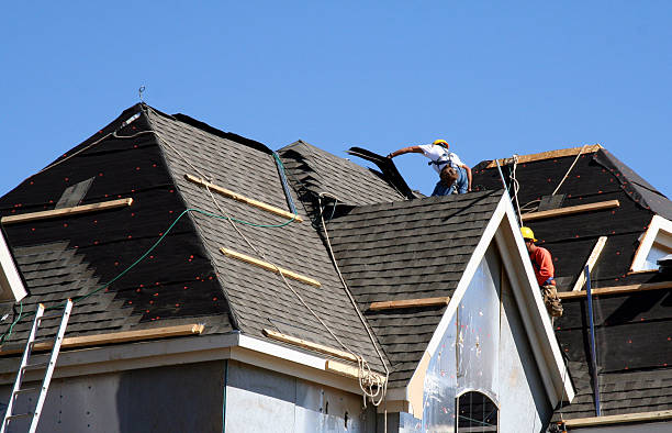 Best Roof Gutter Cleaning  in Wolverine Lake, MI